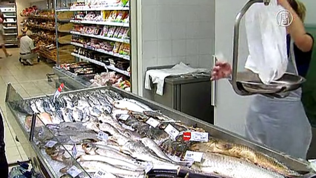 1 год эмбарго в России: каковы итоги? смотреть онлайн