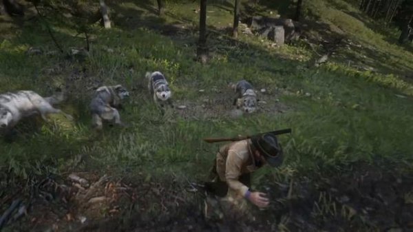 ВСЁ ПРО ЛОШАДЕЙ в Red Dead Redemption 2 | RDR2