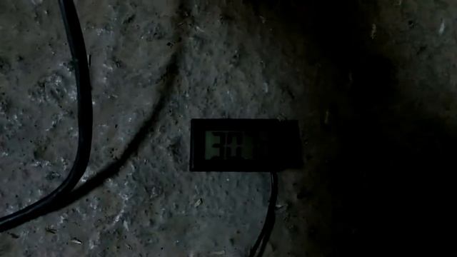 Дизельная ОВ65 24в Отопительная пушка для гаража и не только смотреть онлайн