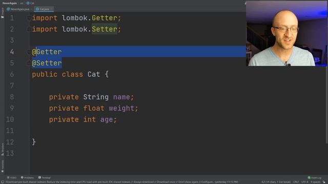 Never Write a Getter or Setter in Java Again смотреть онлайн