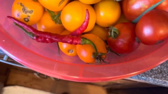 Большой урожай/ что сажать на следующий год/ аджика одобрена смотреть онлайн