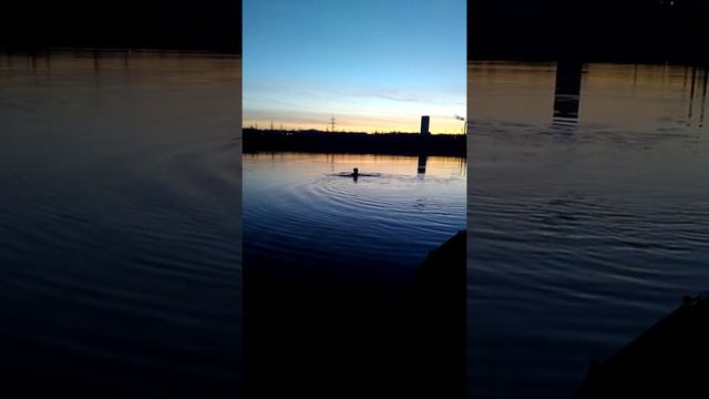 За 100 гривен в воду t воды+6℃ (19 декабря 2019) смотреть онлайн