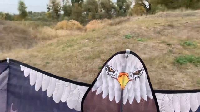 Запуск воздушного змея (сентябрь 2019) смотреть онлайн