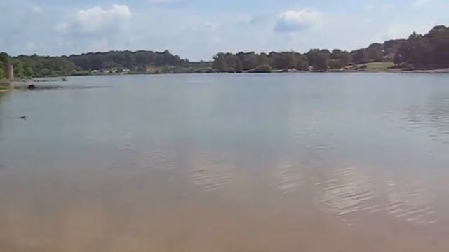 The lake. Озеро. смотреть онлайн
