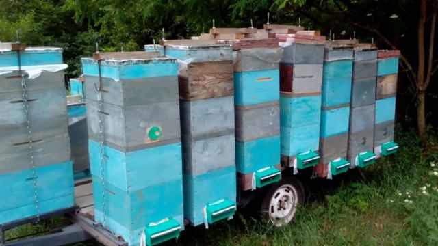 Пасечный прицеп. Передвижная мобильная пасека смотреть онлайн