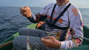 РЫБАЛКА НА ЕЛЬЦА / используем только маленькие приманки / Ладожское озеро