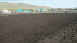 Посадка картофеля мотоблоком «Нева»