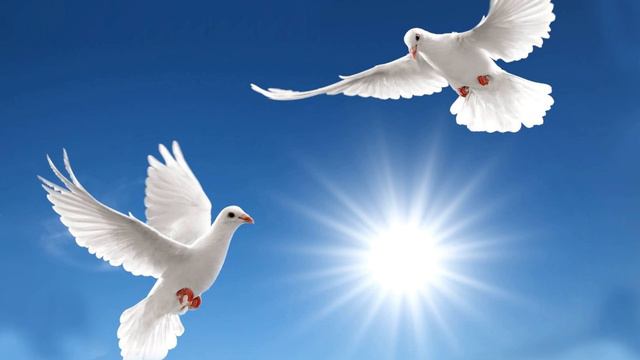 Хор собора Св. Блгв. кн. Александра Невского г. Н. Новгород регент Кира Молева Трисвятое смотреть онлайн