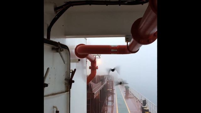 Балкер. Работа на балкере, 6 месяцев контракта за 6 минут. смотреть онлайн