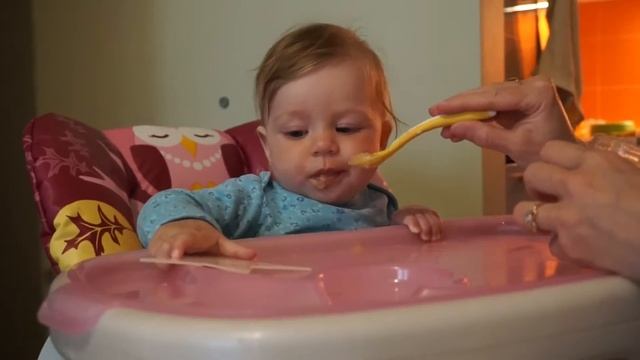 первое яблочное пюре