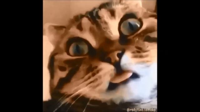 ПРАЗДНИК - ПРОКАЗНИК смотреть онлайн