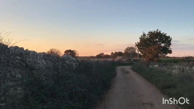 Живу месяц на 4000 рублей в Италии. День 21😁...длинная беседа) смотреть онлайн