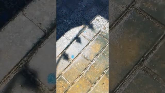 #лайфхак как ПОСТИРАТЬ сапоги ЛЕГКО смотреть онлайн