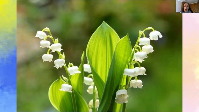 Заклад дошкільної освіти №56 вихователь Філон Ірина Миколаївна