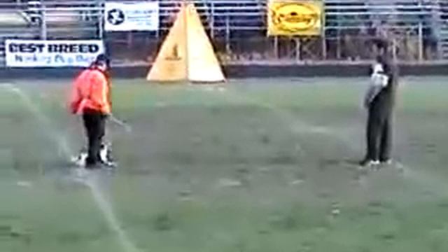 Фокс смотреть онлайн