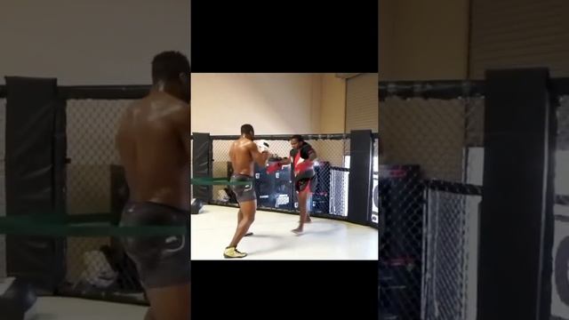 Гаджи Автомат VS Францис Нганоу смотреть онлайн
