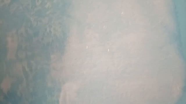 Шарады: куда-то едем, что-то мажем и потом что-то же жарим )) смотреть онлайн