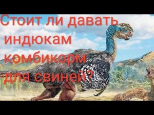 Давать индюкам комбикорм для свиней или нет?