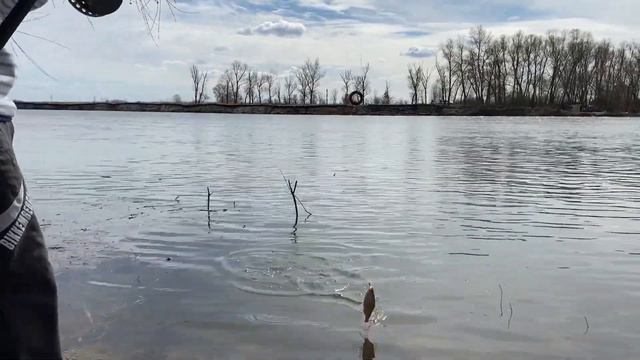 Плотва пошла, а за ней и густера! Весна 2021. Открытие смотреть онлайн