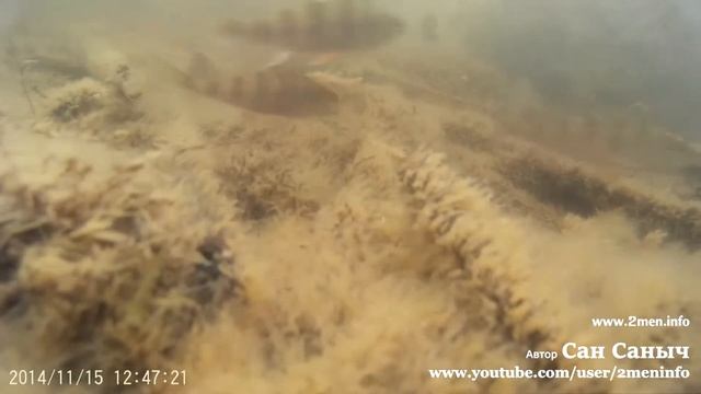 Окуни и верхоплавки зимой на открытой воде смотреть онлайн