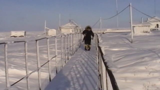 Зимовка на Столбовом. Космическая Арктика, белые медведи и край земли смотреть онлайн