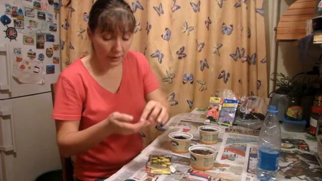 Сею баклажаны, готовлюсь стать миллионером - купила мицелии трюфелей (ха-ха-ха) смотреть онлайн