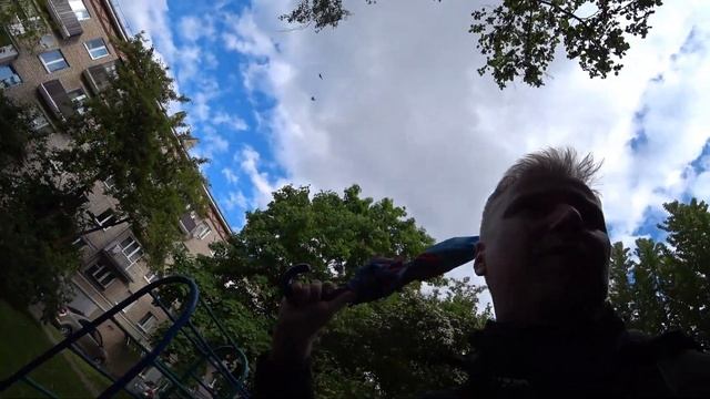 Стая ворон держит в страхе целый район Минска. Жесть! смотреть онлайн