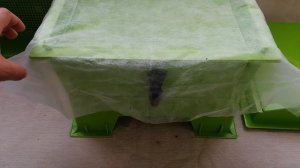 Как разводить червей дома. Разведение червей в домашних условиях. Домашний вермикомпостер