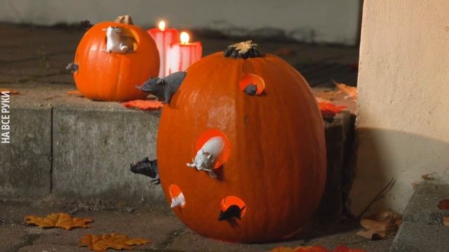 ФОНАРЬ ИЗ ТЫКВЫ СВОИМИ РУКАМИ| 17 Способов Сделать Фонарь из Тыквы на Хэллоуин смотреть онлайн