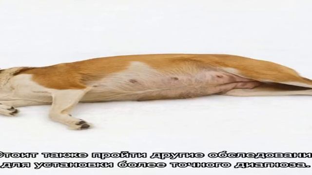 Творческий Путь к Искусству