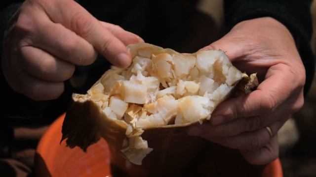 Sailor Rations - Stockfish Aboard Ship смотреть онлайн