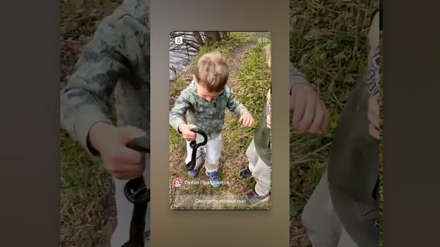 Карапузы и змеи