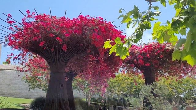 Walking tour of the Getty Center Museum Gardens and Architecture - Los Angeles California USA смотреть онлайн