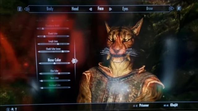 Elder Scrolls Skyrim: Character Customization смотреть онлайн