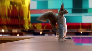 Заставки с белками к 25-летию Первого Канала