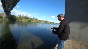 ловлю окуня мешками/микроджиг(ajing)/ответы на вопросы