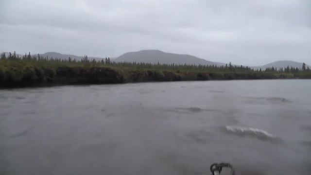 Омолон лед смотреть онлайн