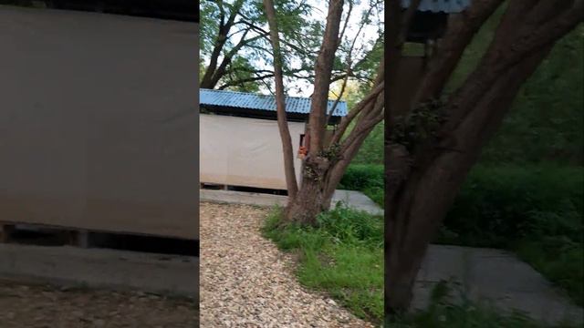 Заезжали за водой на источник. Ведюшка ) смотреть онлайн