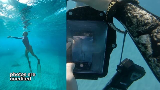 Searching for the BEST Underwater iPhone Case (Product Review) смотреть онлайн