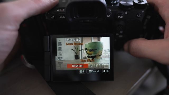 Focus Stacking With The Sony A7RV