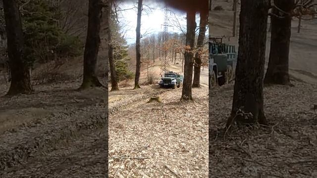 Зил131 закарпаття