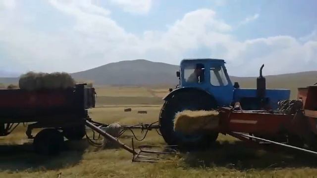 Карзах АЛВРЦЯН С.С смотреть онлайн