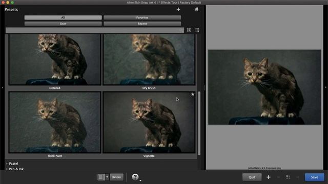 Exposure Editing - Painting with Exposure and Snap Art смотреть онлайн