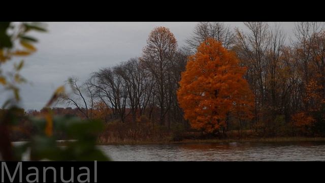 Canon 90D side by side comparison of Manual Mode and Auto Mode смотреть онлайн