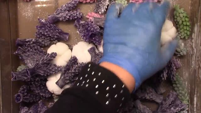 Люблю лаванду ♥ Три букета Лаванды♥ Собираю букеты ♥ смотреть онлайн