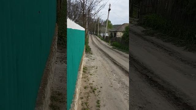 CZ 500 Cross смотреть онлайн