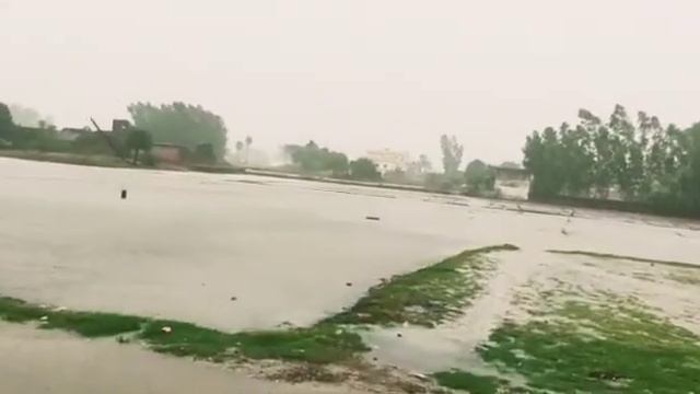 Umar Shaikh смотреть онлайн