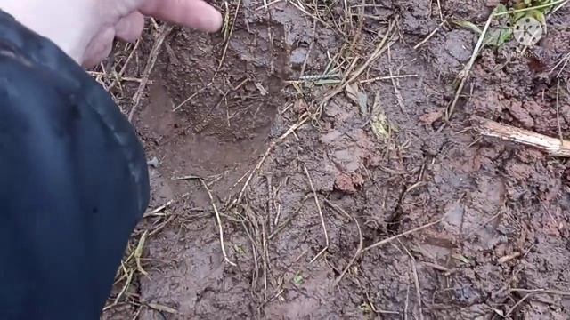 Ака Сигнум мфд краткий обзор глубинной программы под номером 4. смотреть онлайн