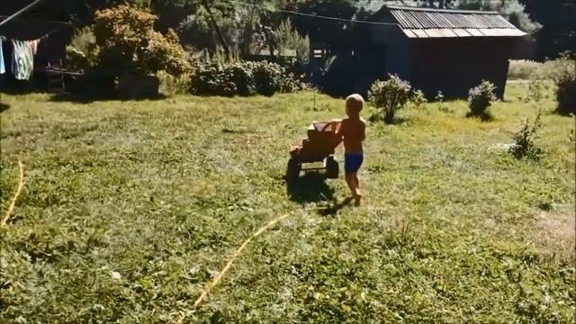 Нарезка видео. Гена возит дрова в баню смотреть онлайн