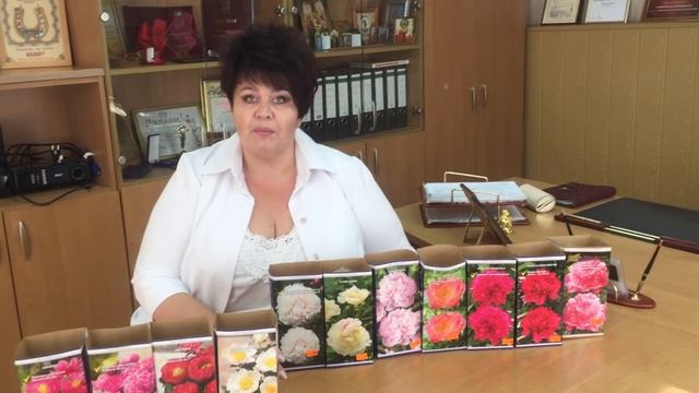 Сорта пионов для осенней посадки смотреть онлайн